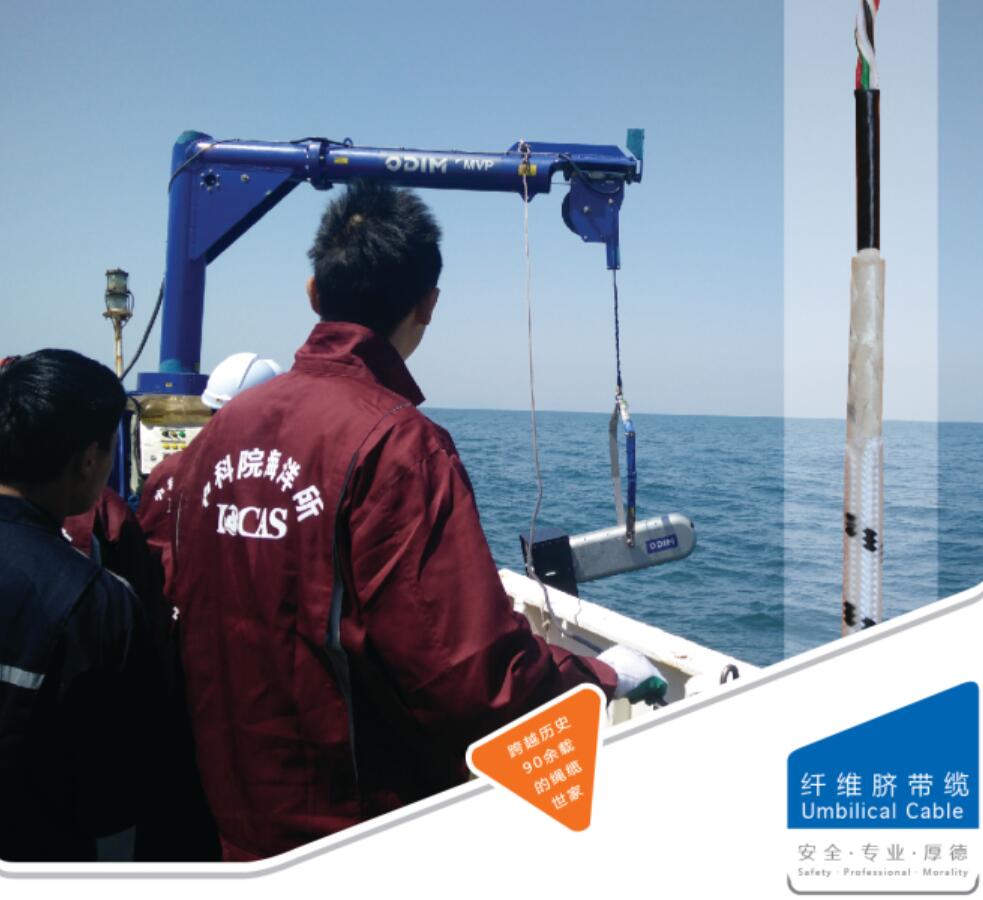 �����|�K�ķN����