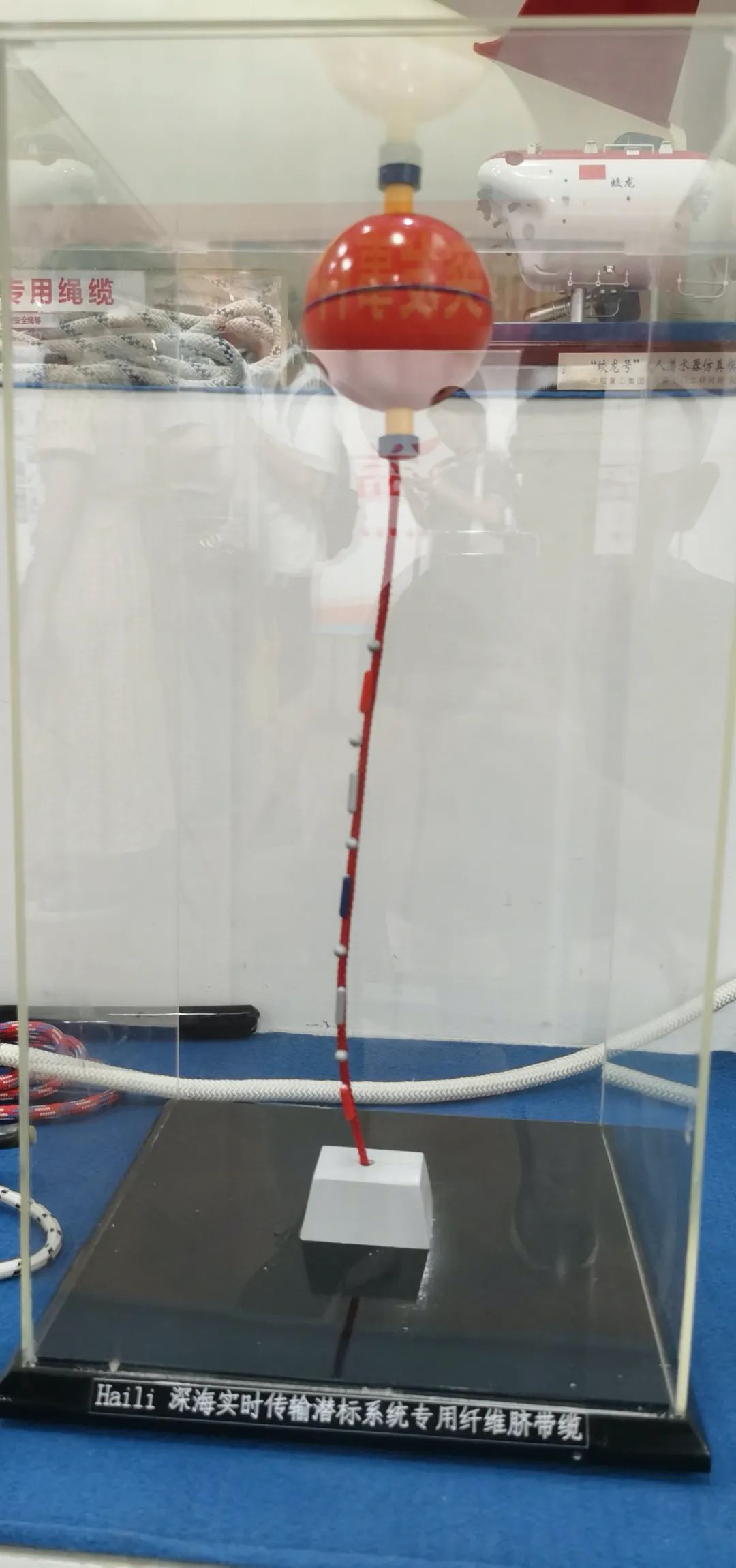 ����r��ݔ����ϵ�y�����w�SĚ���|