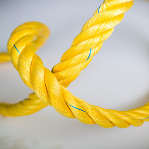 �O�I�����^�K