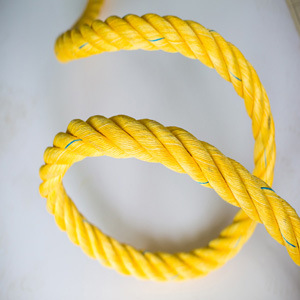 �O�I�����^�K